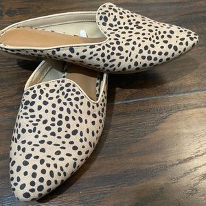 Cheetah mules